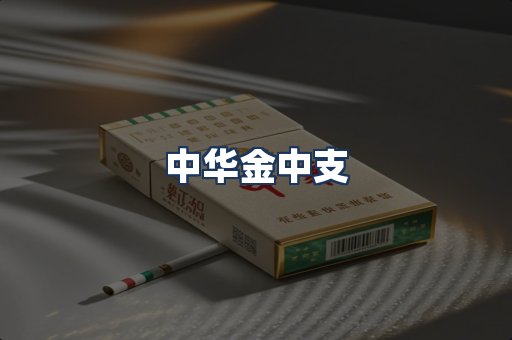 中华金中支